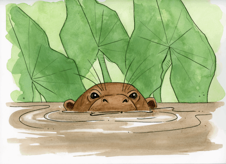 OtterBackCover