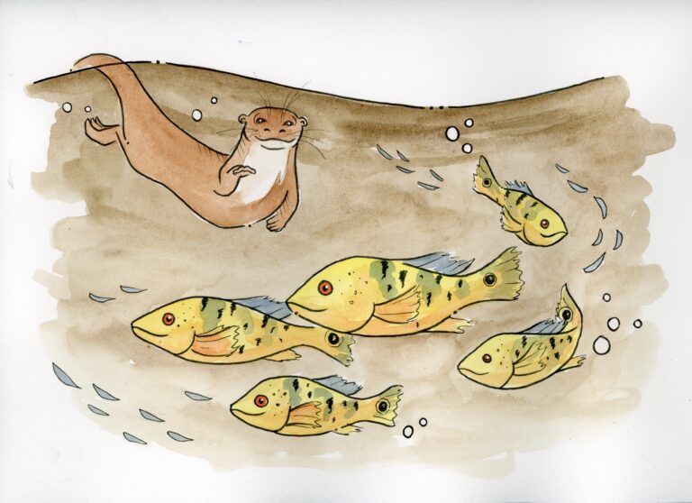 OtterPage22,23