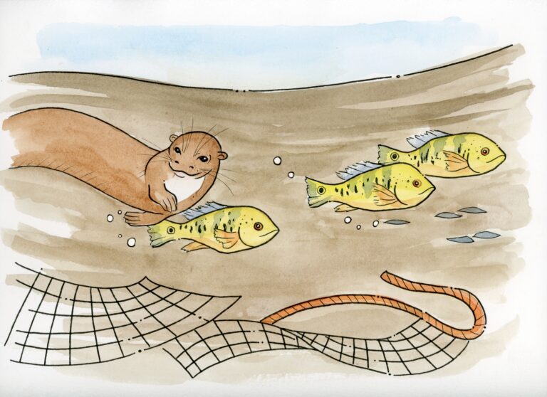 OtterPage24,25