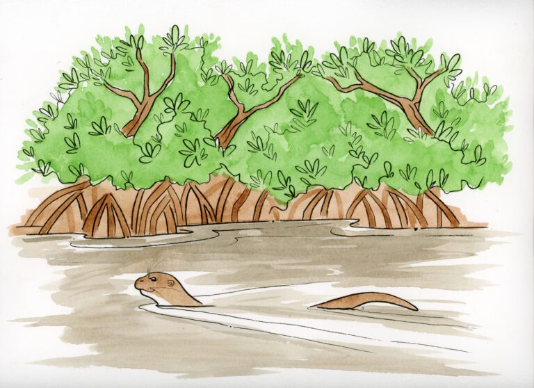 OtterPage46,47
