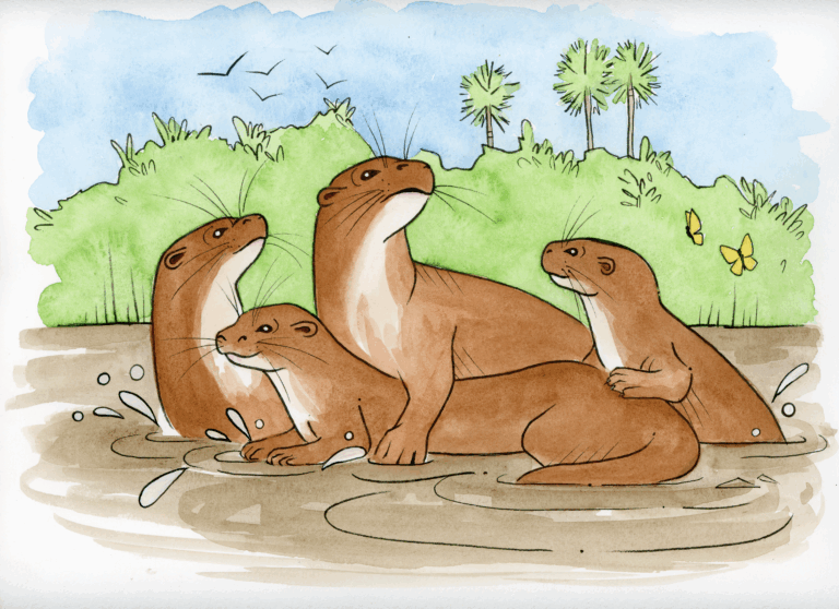 OtterPage53