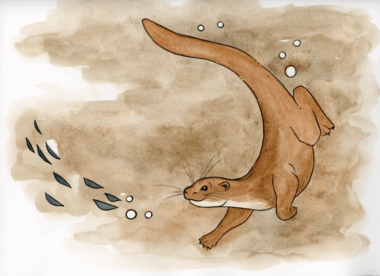 OtterPage6