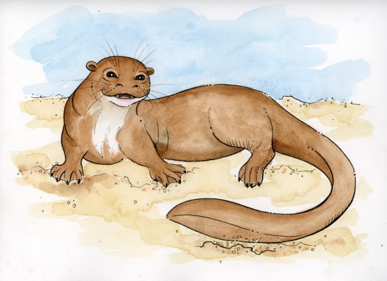 OtterPage9